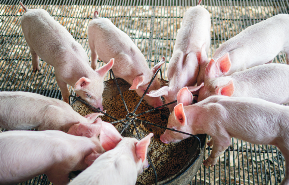 Initiatives to Reduce Waste and CO₂ emissions