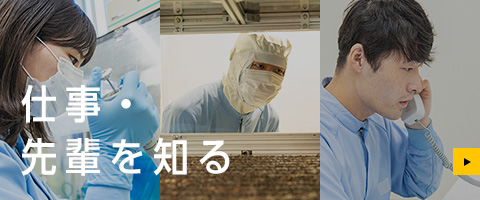 仕事・先輩を知る